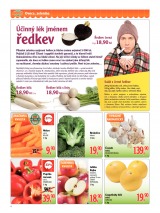 Globus Nae noviny od 29.1.2013, strana 4 