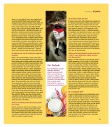 Globus Magazn od 20.3.2013, strana 11 