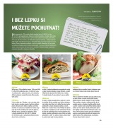 Globus Magazn od 20.3.2013, strana 17 