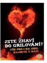 Globus Nae noviny od 2.5.2013, strana 3 