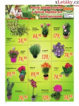 Globus akn letk, strana 26 